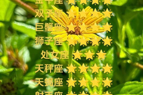 2025年3月26日今日白羊座星座运势 2025年3月26日今日白羊座星座运势