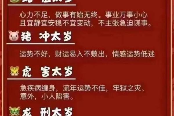 红颜白发是什么生肖(红颜白发是什么生肖最佳)