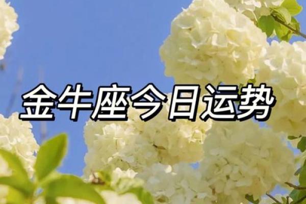 今日金牛座女运势查询星座屋_今日金牛座女运势查询星座屋独家解析 今日金牛座女运势查询星座屋_今日金牛座女运势查询星座屋独家解析