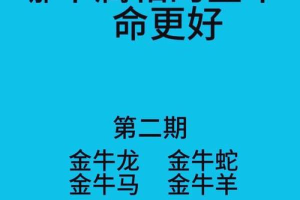 2025年12月金牛座运势详解财运与感情双丰收 2025年12月金牛座运势详解财运与感情双丰收