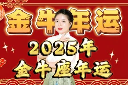 金牛座2025年每月运势详解全年运势大揭秘