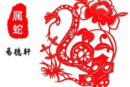 属蛇的人今日运势360星座网 属蛇人今日运势财运飙升事业顺利360星座网