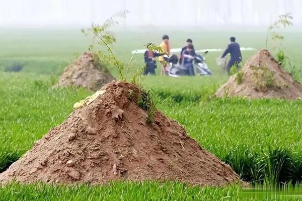 老坟动土有什么讲究(老坟动土有什么讲究和忌讳) 老坟动土有什么讲究(老坟动土有什么讲究和忌讳)