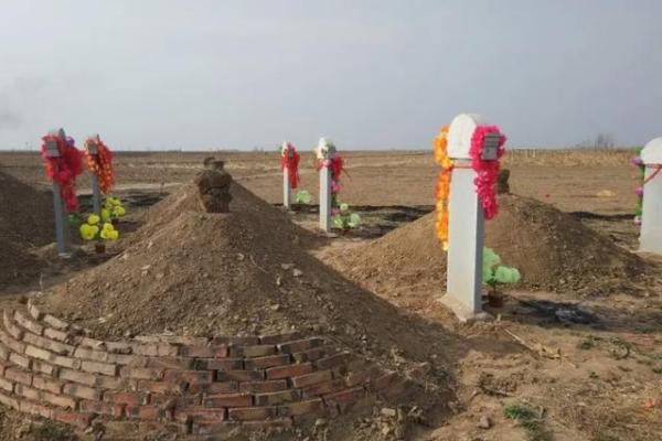 院子里动土会对谁不好(院子里干什么算动土)