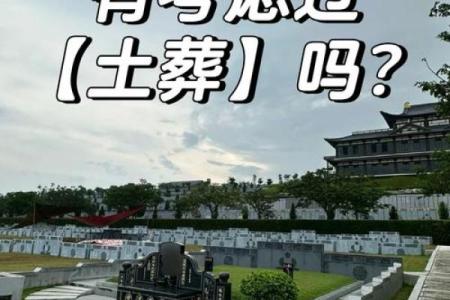 2025年能动土下葬吗