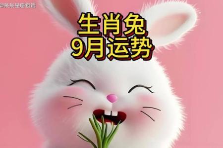 属兔的什么日子开业好