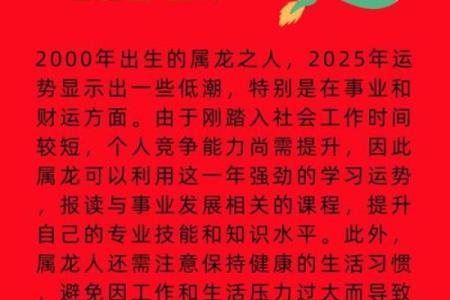 2025年属龙人运势全解析1988年出生者逐月运程详解
