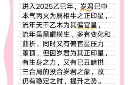 2025年金牛座运势详解财运爱情事业全解析