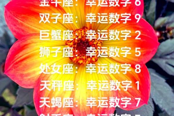 金牛星座今日运势查询 金牛座今日运势查询财运爱情事业全解析 金牛星座今日运势查询 金牛座今日运势查询财运爱情事业全解析