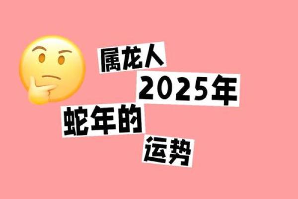 属龙今年运势2025年运势如何_属龙今年运势2025年运势如何呢