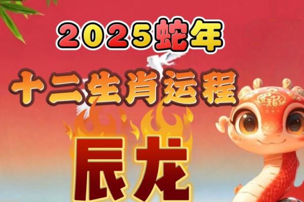 76年2025属龙人的运势 2025年属龙人全年运势详解76年出生者逐月运程指南 76年2025属龙人的运势 2025年属龙人全年运势详解76年出生者逐月运程指南