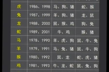 2000年属龙男孩农历八月姻缘配对解析