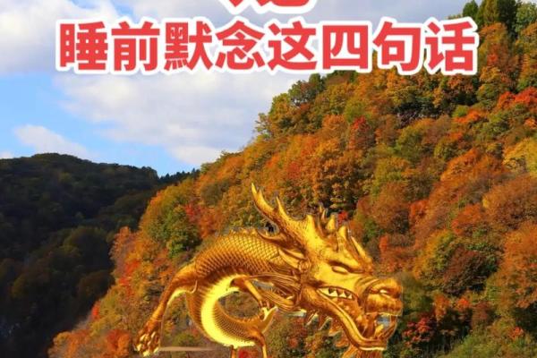 1988年生肖龙今日运势 1988年属龙今日运势怎么样