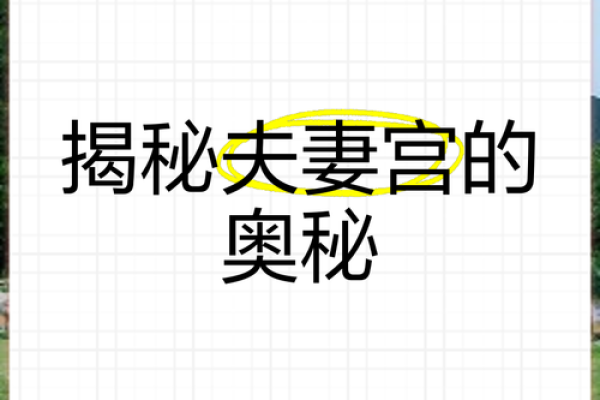 夫妻宫武曲化权_夫妻宫武曲化权解析婚姻与权力的命理奥秘 夫妻宫武曲化权_夫妻宫武曲化权解析婚姻与权力的命理奥秘