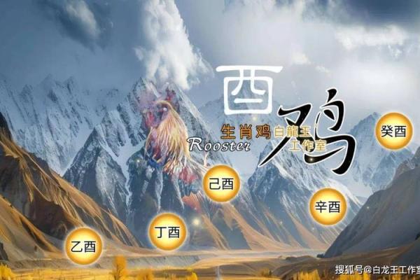 属鸡的2025年虚岁多少_2025年属鸡人虚岁计算及运势解析 属鸡的2025年虚岁多少_2025年属鸡人虚岁计算及运势解析