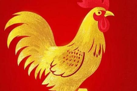 2025属鸡女的全年运势如何_生肖鸡2025年运势