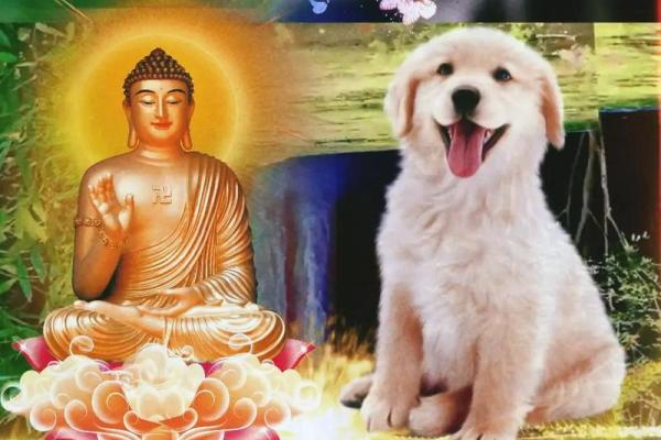 94年属狗女2025年结婚吉日(94年狗在2022年结婚非常好) 94年属狗女2025年结婚吉日(94年狗在2022年结婚非常好)