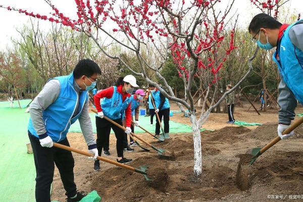 栽树属于动土吗 栽树属于动土吗