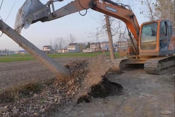 栽树属于动土吗 栽树属于动土吗