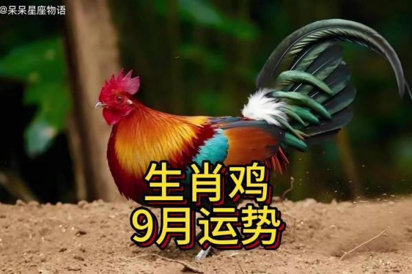 1981年属鸡今年多大2023年属鸡人年龄详解 1981年属鸡今年多大2023年属鸡人年龄详解