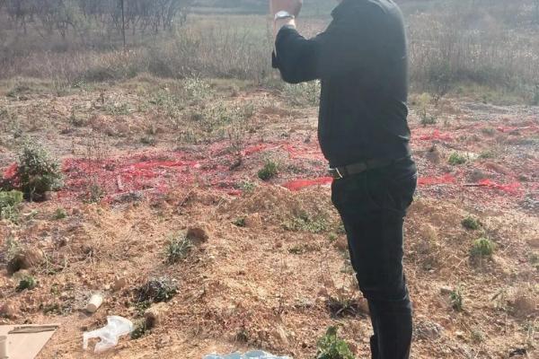 今天适合动土(今天适合动土栽树吗) 今天适合动土(今天适合动土栽树吗)