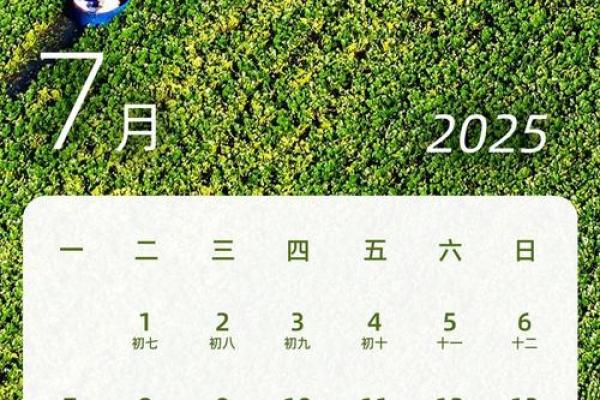 2025年4月29日 2025年4月29日