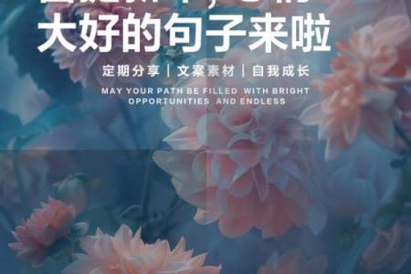 二零二一年四月提车