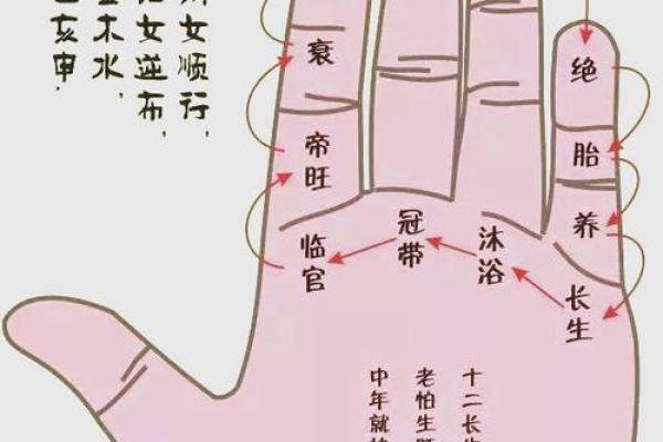 夫妻宫凤阁解析命理中的婚姻奥秘