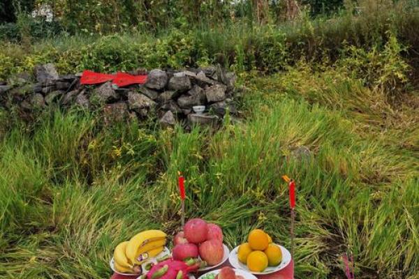 今天是动土的好日子吗(今天是动土的好日子吗吉利吗) 今天是动土的好日子吗(今天是动土的好日子吗吉利吗)