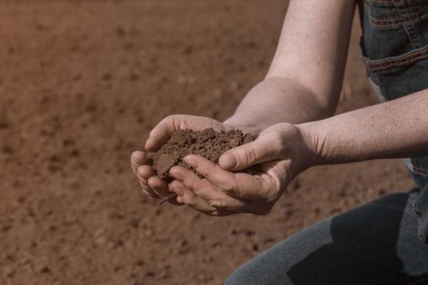 明天适不适合动土 明天适不适合动土