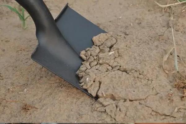 什么时候不能动土(什么时候能动土) 什么时候不能动土(什么时候能动土)