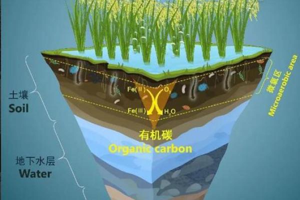 动土示意图 动土示意图