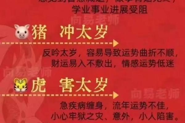 2024年结婚最好的属相(2024年可以结婚吗) 2024年结婚最好的属相(2024年可以结婚吗)