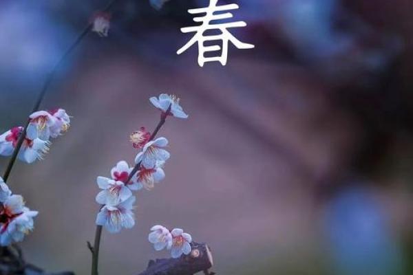 2024立春图片