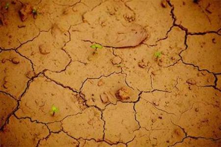 五月动土对谁不好