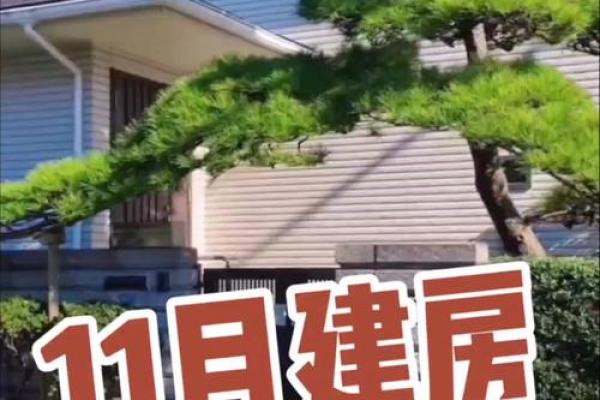 那天可以动土(那天可以动土建房) 那天可以动土(那天可以动土建房)