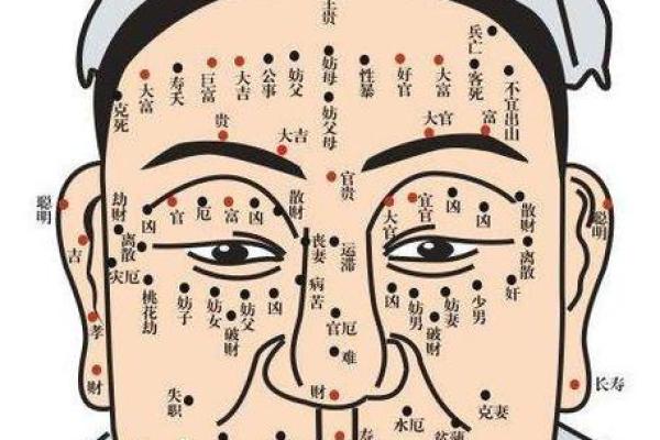 夫妻宫有痣的女人_夫妻宫有痣的女人命运解析痣相与婚姻关系揭秘 夫妻宫有痣的女人_夫妻宫有痣的女人命运解析痣相与婚姻关系揭秘