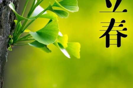 2022年几点立春时间