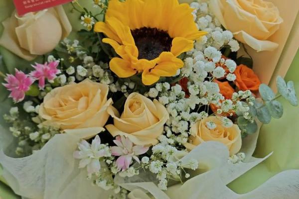 4月份提新车的黄道吉日 4月份提新车的黄道吉日