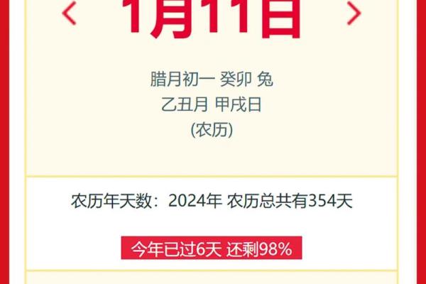 2025年11月11日农历是多少 2025年11月11日农历是多少