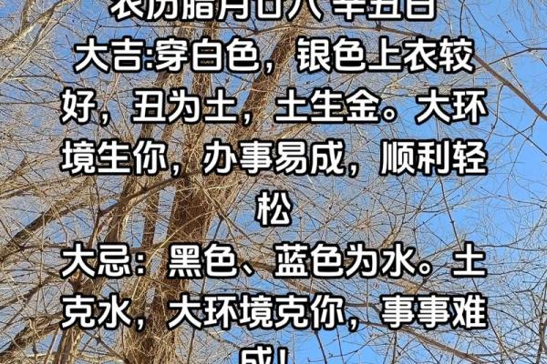 2025年3月7日每日五行穿衣 2025年3月7日每日五行穿衣