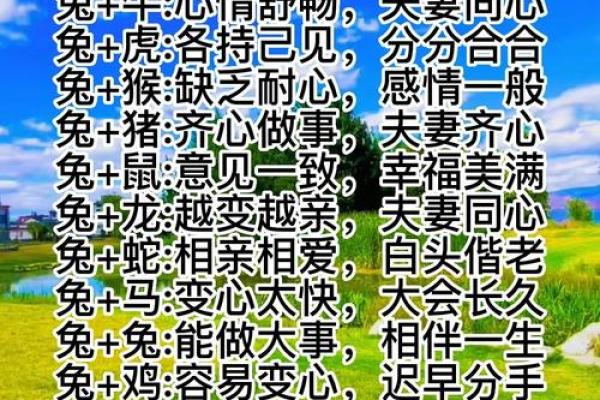 属兔的女孩2025年结婚日子是哪一天(2025年生肖兔) 属兔的女孩2025年结婚日子是哪一天(2025年生肖兔)