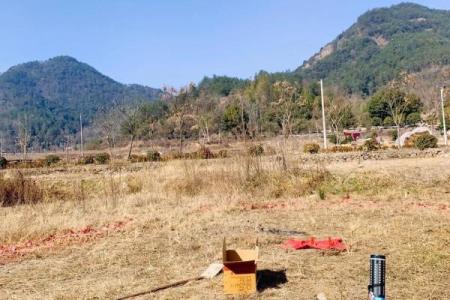 4月2号动土好吗