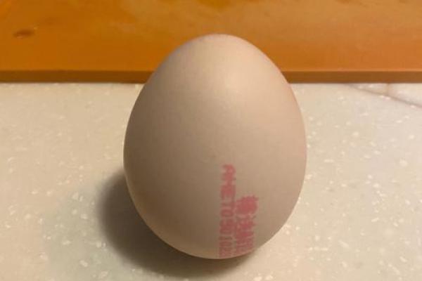 春分立蛋是生的还是熟的 春分立蛋是生的还是熟的