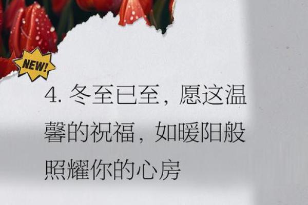 冬至适合发朋友圈的说说