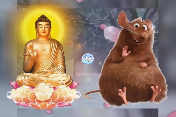 鼠2022年结婚 鼠2022年结婚