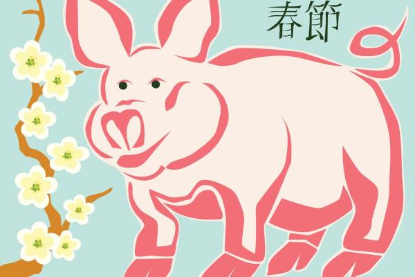 免费算结婚吉日测算属猪的(2021年适合属猪的结婚日期) 免费算结婚吉日测算属猪的(2021年适合属猪的结婚日期)