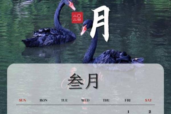 三月份日历表2023图片高清(三月份月历图片) 三月份日历表2023图片高清(三月份月历图片)