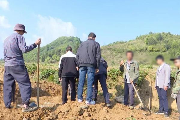 2021年4月4日动土