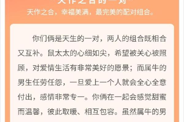 95猪男和96鼠女最佳婚期2025(95猪男和96鼠女相冲吗)